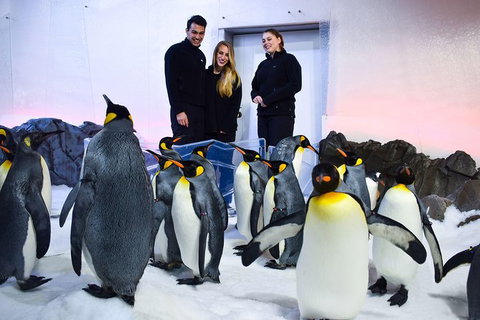 Penguin Passport At SEA LIFE Melbourne Aquarium - Attractions Brisbane 4