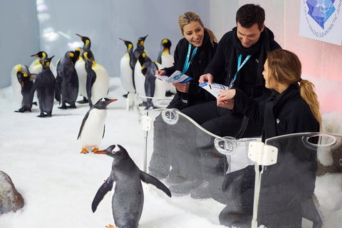 Penguin Passport At SEA LIFE Melbourne Aquarium - Attractions Brisbane 7