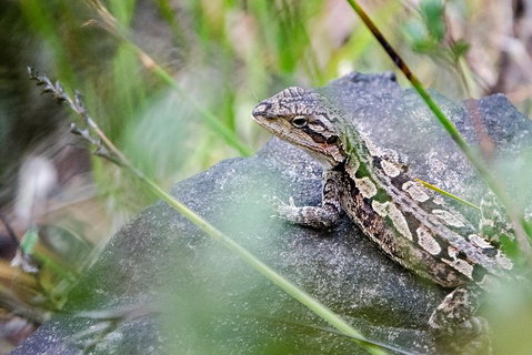 Small-Group Grampians Great Wilderness Escape Day Trip With Hiking - Attractions Brisbane 8
