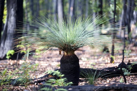 Small-Group Grampians Great Wilderness Escape Day Trip With Hiking - Attractions Brisbane 14