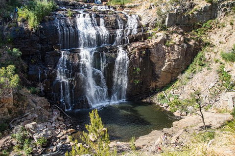 Small-Group Grampians Great Wilderness Escape Day Trip With Hiking - Attractions Brisbane 6