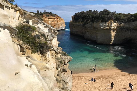 Great Ocean Road Reverse Itinerary PREMIUM Tour - Attractions Brisbane 3