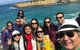 Great Ocean Road Reverse Itinerary PREMIUM Tour - thumb 6