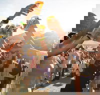 Ale Blazers Craft Beer Tour of the Surf Coast - Attractions Brisbane