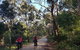Great Southern Getaway Cycle Tour - thumb 8