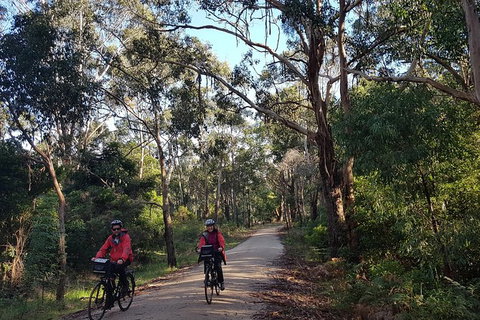 Great Southern Getaway Cycle Tour - Attractions Brisbane 8
