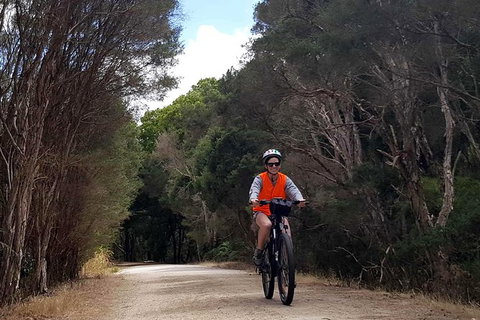 Great Southern Getaway Cycle Tour - Attractions Brisbane 4