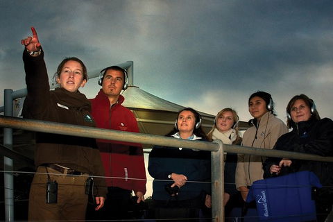 Phillip Island Penguin Parade Express Tour From Melbourne - Attractions Brisbane 4