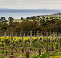 Bellarine Peninsula Small Group Wine Tour with 2 Course Lunch and Morning Tea - Attractions Brisbane