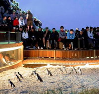 Small-Group Phillip Island Day Trip from Melbourne - Attractions Brisbane