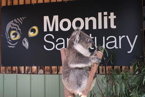 Small-Group Phillip Island Day Trip From Melbourne - Attractions Brisbane 7