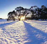 Private Lake Mountain Snow Tour from Melbourne - Attractions Brisbane