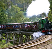 Private Dandenong Ranges Tour including Puffing Billy - Attractions Brisbane