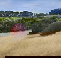 Estate to Plate Montalto Vineyard Gourmet Lunch and Wine-Tasting Tour - Attractions Brisbane