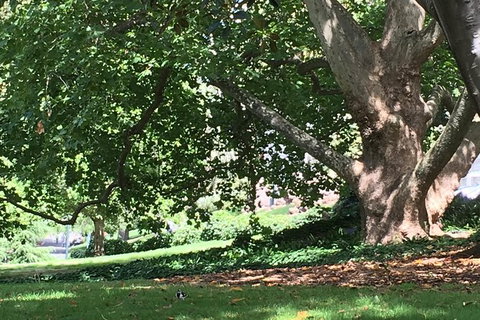 Melbourne Airport To Melbourne CBD To Melbourne Airport (2 Way Transfer) - Attractions Brisbane 7