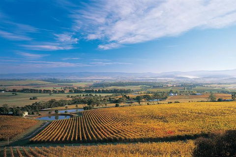 Half Day Yarra Valley Winery Day Trip From Melbourne - Attractions Brisbane 2