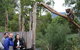 Yarra Valley Wildlife Express (Private Tour) - thumb 0