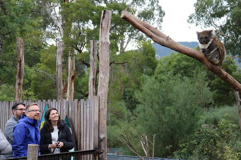Yarra Valley Wildlife Express (Private Tour) - Attractions Brisbane 0