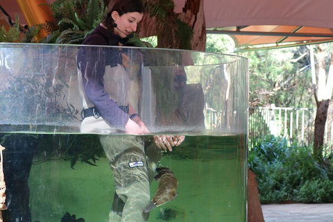 Yarra Valley Wildlife Express (Private Tour) - Attractions Brisbane 1