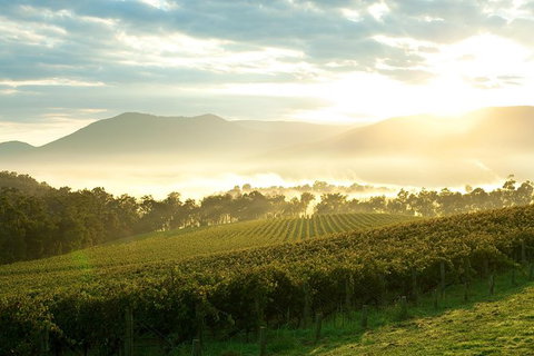 Yarra Valley Private Tour Including Healesville Sanctuary And Wineries - Attractions Brisbane 0