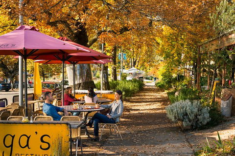 Lake Mountain Snow Trip Including Yarra Valley Chocolaterie From Melbourne - Attractions Brisbane 12