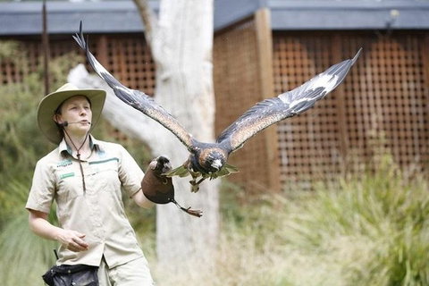 Healesville Sanctuary General Entry Ticket - Attractions Brisbane 0