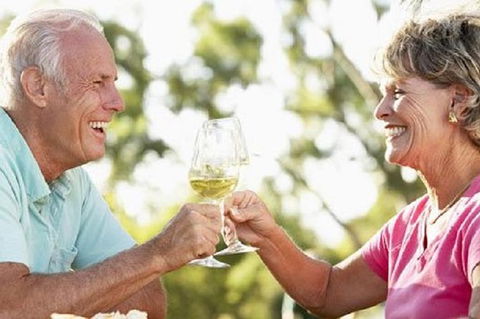 Phillip Island Wine Experience Tour - Attractions Brisbane 1