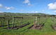 Phillip Island Wine Experience Tour - thumb 4