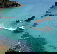 Cape Woolamai Sightseeing Cruise from San Remo - Attractions Brisbane