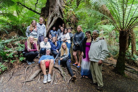 Great Ocean Road And Grampians 2 Day Short Break Escape From Melbourne - Attractions Brisbane 5