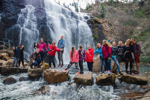 Great Ocean Road And Grampians 2 Day Short Break Escape From Melbourne - Attractions Brisbane 4