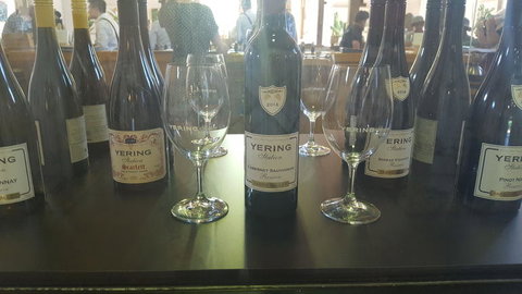 Yarra Valley Wildlife & Wine Day Tour From Melbourne With Healesville Sanctuary - Attractions Brisbane 7