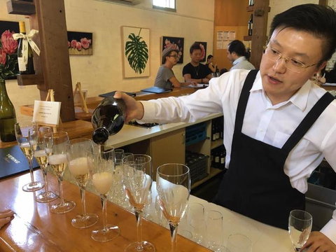 Yarra Valley Wildlife & Wine Day Tour From Melbourne With Healesville Sanctuary - Attractions Brisbane 3