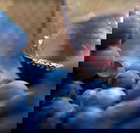 Small Group 6 guests Ultimate Mornington Peninsula Food and Wine - Attractions Brisbane