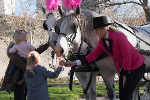 Melbourne Horse Drawn Carriages 1 Hour City And Garden - Attractions Brisbane 1