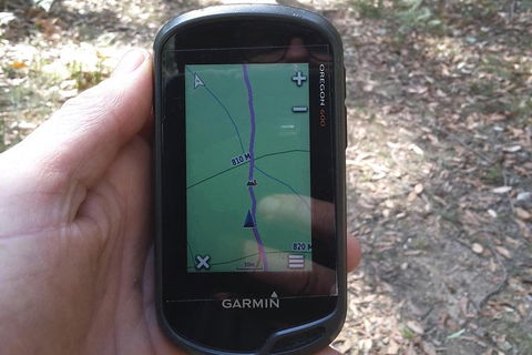 GPS Guided Walks In The Daylesford Forest - Attractions Brisbane 0