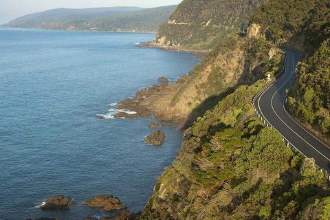 Great Ocean Road To Grampians 2 Day 1 Night Tour From Melbourne To Adelaide - Attractions Brisbane 8