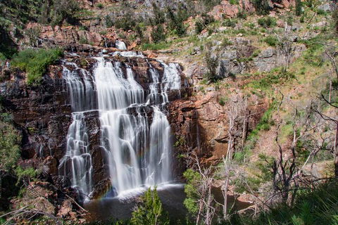 Great Ocean Road To Grampians 2 Day 1 Night Tour From Melbourne To Adelaide - Attractions Brisbane 5