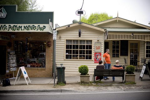 Half Day Puffing Billy Train Journey From Melbourne - Attractions Brisbane 10