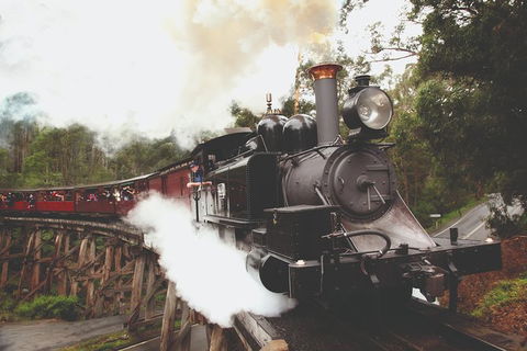 Half Day Puffing Billy Train Journey From Melbourne - Attractions Brisbane 3