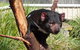 Tasmania 6 Day \'Tour In Circle\' - thumb 1
