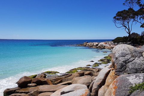 Tasmania 6 Day \'Tour In Circle\' - Attractions Brisbane 4