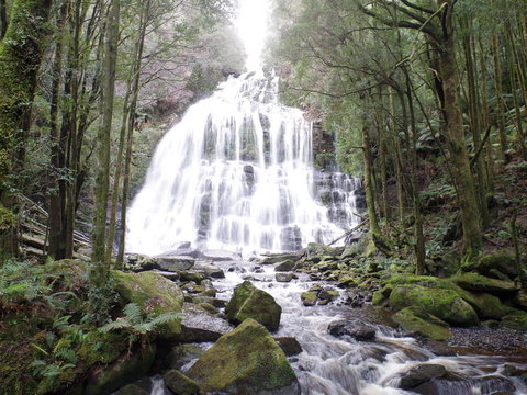 5-Day Best Of Tasmania Tour From Hobart - Attractions Brisbane 2