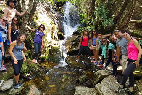 5-Day Best Of Tasmania Tour From Hobart - Attractions Brisbane 9
