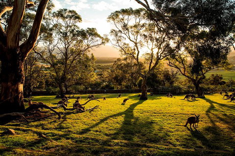 Shore Excursion: Five Of Hobart's Best In One Day - Attractions Brisbane 1