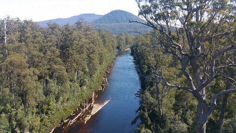 Small-group DayTour From Hobart: Hastings Caves, Huon Valley And Tahune AirWalk - Attractions Brisbane 3