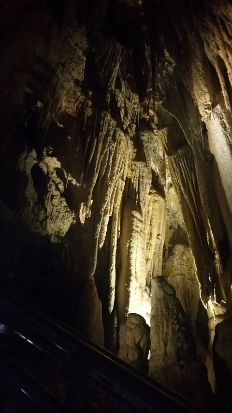 Small-group DayTour From Hobart: Hastings Caves, Huon Valley And Tahune AirWalk - Attractions Brisbane 5