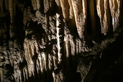 Small-group DayTour From Hobart: Hastings Caves, Huon Valley And Tahune AirWalk - Attractions Brisbane 1