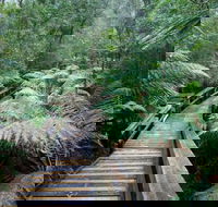 Small-group DayTour from Hobart Hastings Caves Huon Valley and Tahune AirWalk - Attractions Brisbane