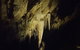 Small-group DayTour From Hobart: Hastings Caves, Huon Valley And Tahune AirWalk - thumb 7